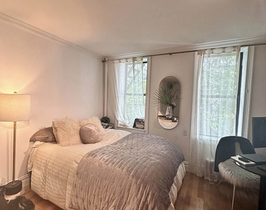 237 West 10th Street - Photo Thumbnail 6