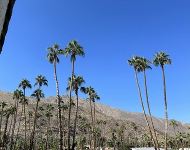 1900 S Palm Canyon . Drive - Photo Thumbnail 19