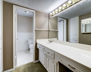 1422 Walnut Bend Lane - Photo Thumbnail 7