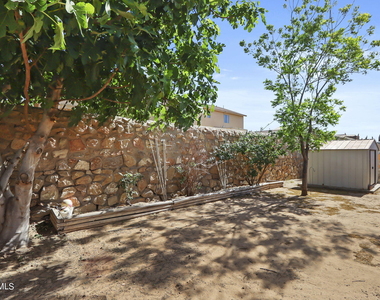 14438 Miguel Terrazas Drive - Photo Thumbnail 33