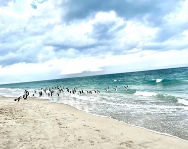 3400 N Ocean Drive - Photo Thumbnail 50