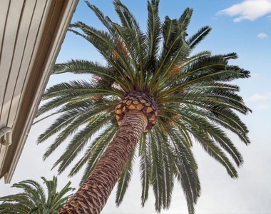 201 S Olive Street - Photo Thumbnail 34