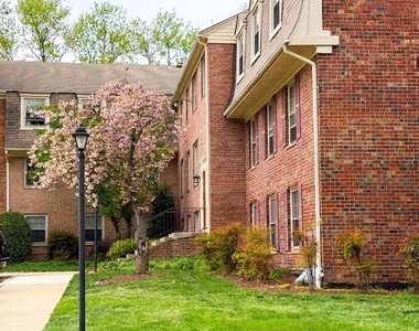 6008 Westchester Park Drive - Photo Thumbnail 10