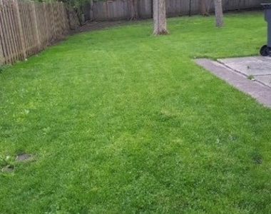 711 Locust Road - Photo Thumbnail 11