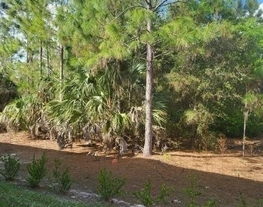 1256 Carpazi Court - Photo Thumbnail 3