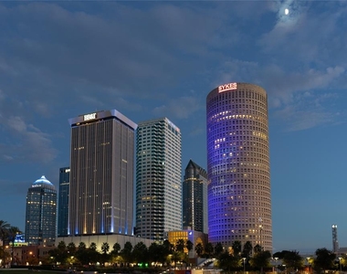 3301 Bayshore Boulevard - Photo Thumbnail 46