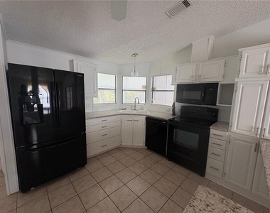 2132 Sabal Palm - Photo Thumbnail 4
