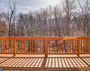 8931 Park Forest Drive - Photo Thumbnail 19