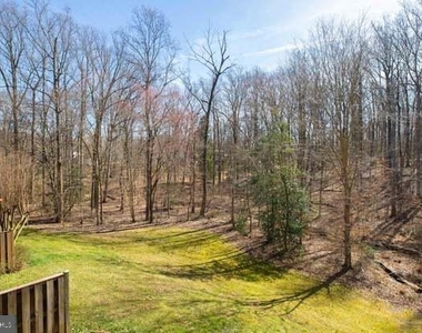 8931 Park Forest Drive - Photo Thumbnail 46