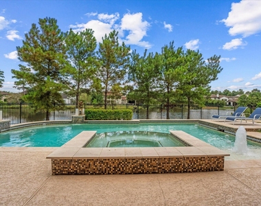 19 Paloma Bend Place - Photo Thumbnail 4