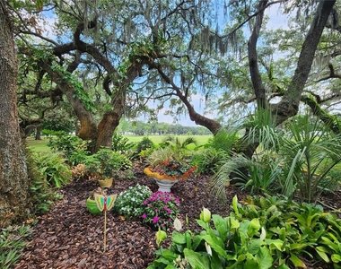 36801 Camelia Court - Photo Thumbnail 44
