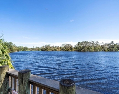 8204 Villa Grande Court - Photo Thumbnail 40
