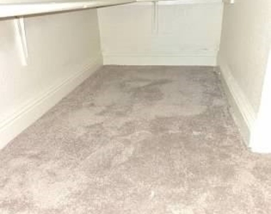 4865 S Torrey Pines Drive - Photo Thumbnail 14