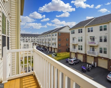21707 Charity Terrace - Photo Thumbnail 21