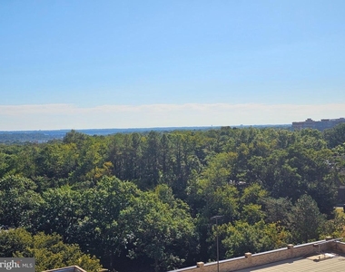 3709 George Mason Drive - Photo Thumbnail 6