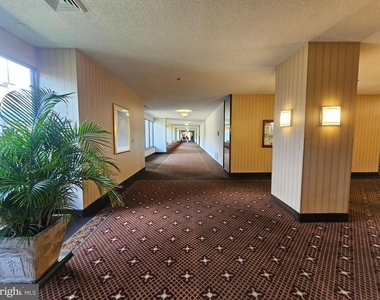 3709 George Mason Drive - Photo Thumbnail 35