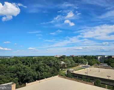 3709 George Mason Drive - Photo Thumbnail 27