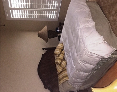 16550 Goldenrod Lane - Photo Thumbnail 3