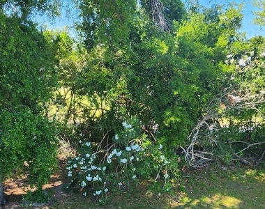 2109 Hidden Grove Lane - Photo Thumbnail 17
