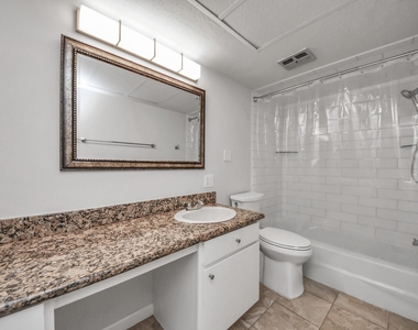 4641 Wild Indigo Street - Photo Thumbnail 11