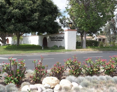 5268 Don Valdez - Photo Thumbnail 20