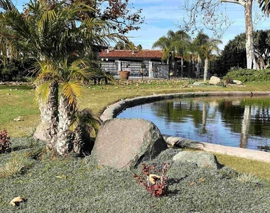 5268 Don Valdez - Photo Thumbnail 23