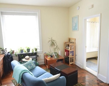 253 W Hansberry Street - Photo Thumbnail 16