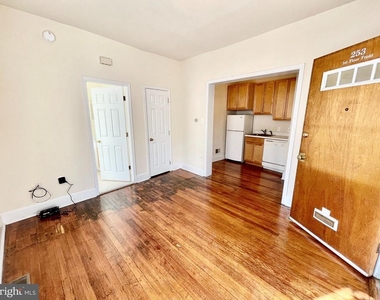 253 W Hansberry Street - Photo Thumbnail 1