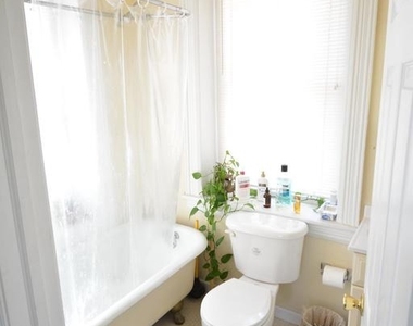 253 W Hansberry Street - Photo Thumbnail 17
