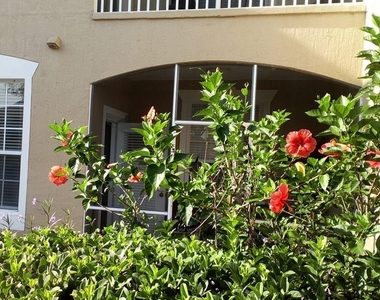 2307 Butterfly Palm Way - Photo Thumbnail 12