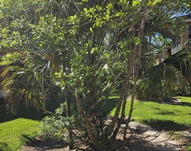 8227 Mulligan Circle - Photo Thumbnail 19