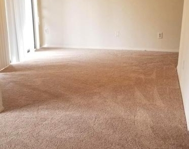 491 N Armistead Street - Photo Thumbnail 4