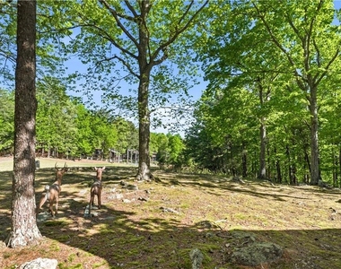 114 Cherokee Drive S - Photo Thumbnail 38