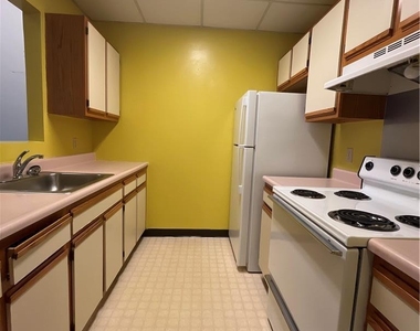 23 Belvidere Street - Photo Thumbnail 5