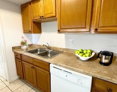 1040 S Buena Vista Drive - Photo Thumbnail 2