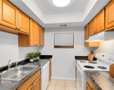 1040 S Buena Vista Drive - Photo Thumbnail 2