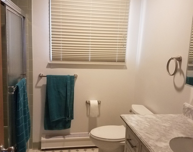 72 Maple Tree Avenue - Photo Thumbnail 18
