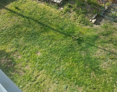 72 Maple Tree Avenue - Photo Thumbnail 24