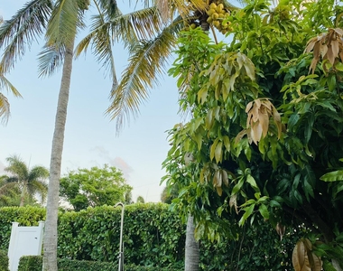 5501 N Ocean Boulevard - Photo Thumbnail 18