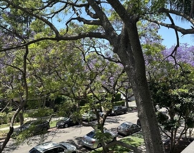 324 N Palm Drive - Photo Thumbnail 38
