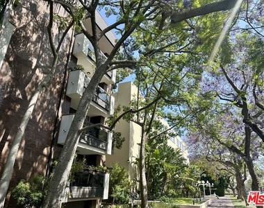 324 N Palm Drive - Photo Thumbnail 45