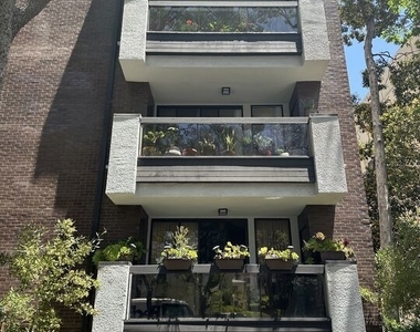 324 N Palm Drive - Photo Thumbnail 16
