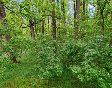 10643 Weymouth Street - Photo Thumbnail 27