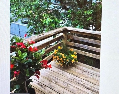 107 S Collington Avenue - Photo Thumbnail 1