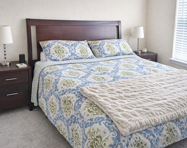 617 Island Place Way - Photo Thumbnail 10