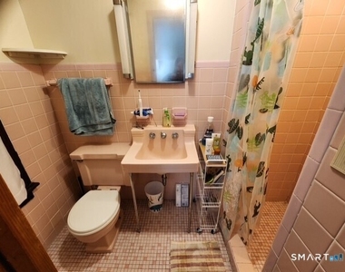 183 Lawrence Street - Photo Thumbnail 12
