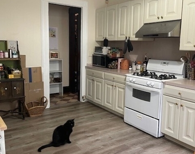 183 Lawrence Street - Photo Thumbnail 6
