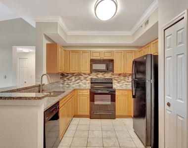15055 Michelangelo Boulevard - Photo Thumbnail 1