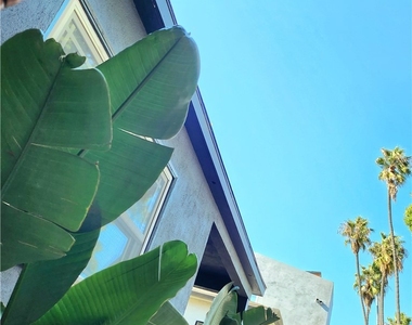2353 Beach Avenue - Photo Thumbnail 18