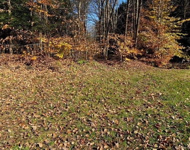 141 Gale Road - Photo Thumbnail 17